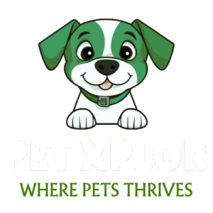 Site logo